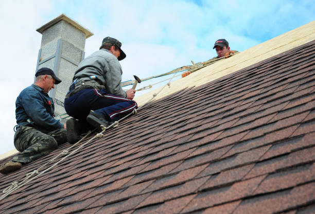 Quick and Trustworthy Emergency Roof Repair Services in Daleville, AL