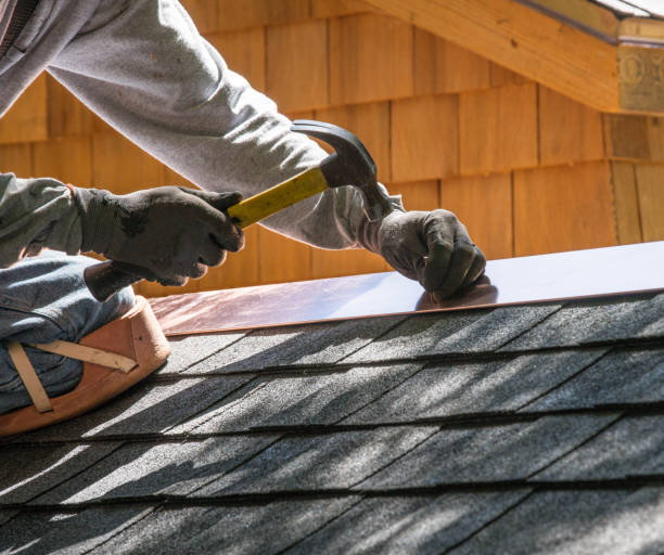 Best Roof Repair Specialists  in Deville, AL